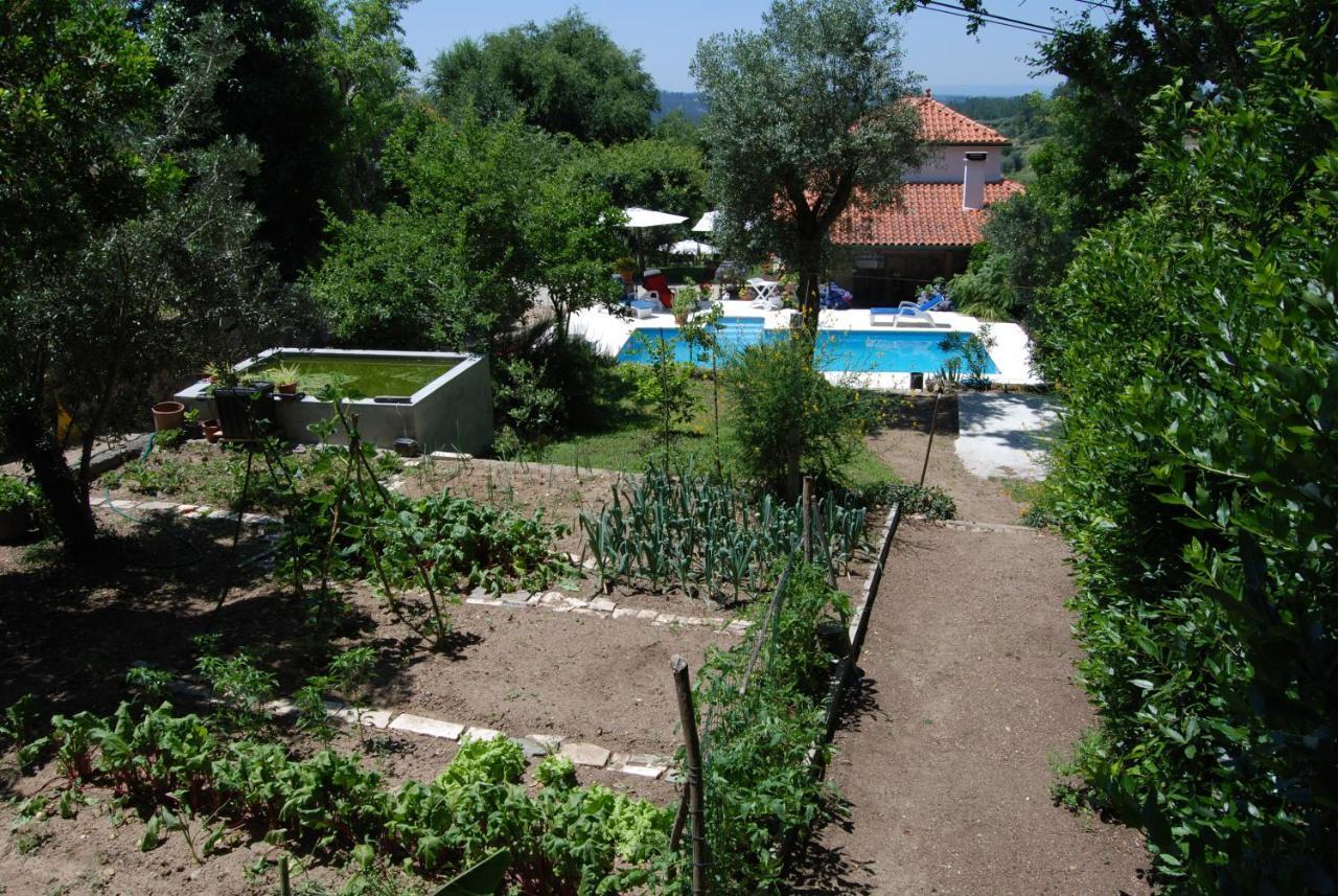 Quinta Das Murteiras Aparthotel Póvoa de Midões Exteriör bild